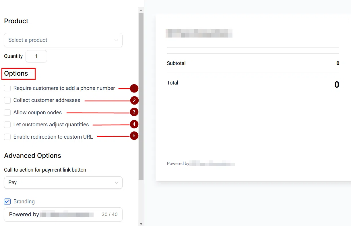 Growth360 Payment Links - options settings